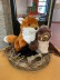 Zwei Kuscheltiere in Form einer Handpuppe sitzen nebeneinander auf einem Schrank. Stellvertretend für die Fuchs- und die Eulengruppe sind es ein Kuschelfuchs und eine Kuscheleule. Der Fuchs trägt ein Cochlea Implantat und die Eule ein Hinter-dem-Ohr-Hörgerät. Die Kuscheltiere sind von vorne abgebildet.