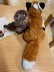 Zwei Kuscheltiere in Form einer Handpuppe sitzen nebeneinander auf einem Schrank. Stellvertretend für die Fuchs- und die Eulengruppe sind es ein Kuschelfuchs und eine Kuscheleule. Der Fuchs trägt ein Cochlea Implantat und die Eule ein Hinter-dem-Ohr-Hörgerät. Die Kuscheltiere von hinten abgebildet. 