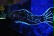 In der Meeresausstellung leuchtet an einer Wand ein großer Wal in blauen Farben.