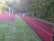 Man sieht eine rote 100-Meter-Strecke, wo gerade zwei Schülerinnen gegen einander anlaufen. Rechts daneben sind viele grüne Büsche, links daneben ein Grünstreifen und daneben ist der rote Sportplatz.  