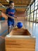 Ein Junge rollt einen Softball über eine Bank in einen Kasten hinein.