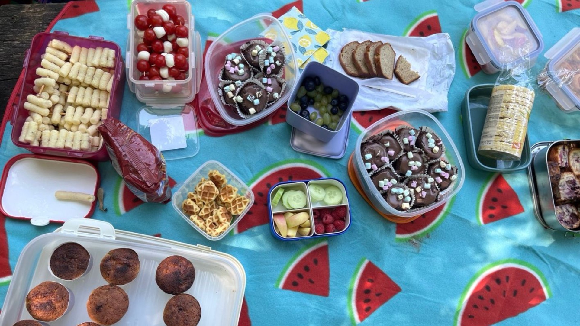 Auf einer hellblauen Tischdecke mit roten Melonenstücken sind verschiedene Dosen mit Fingerfood nebeneinander angeordnet. Es ist ein vielfältiges Angebot mit Obst, Gemüse, Salzstangen, Reiswaffeln, Kuchen und Keksen.