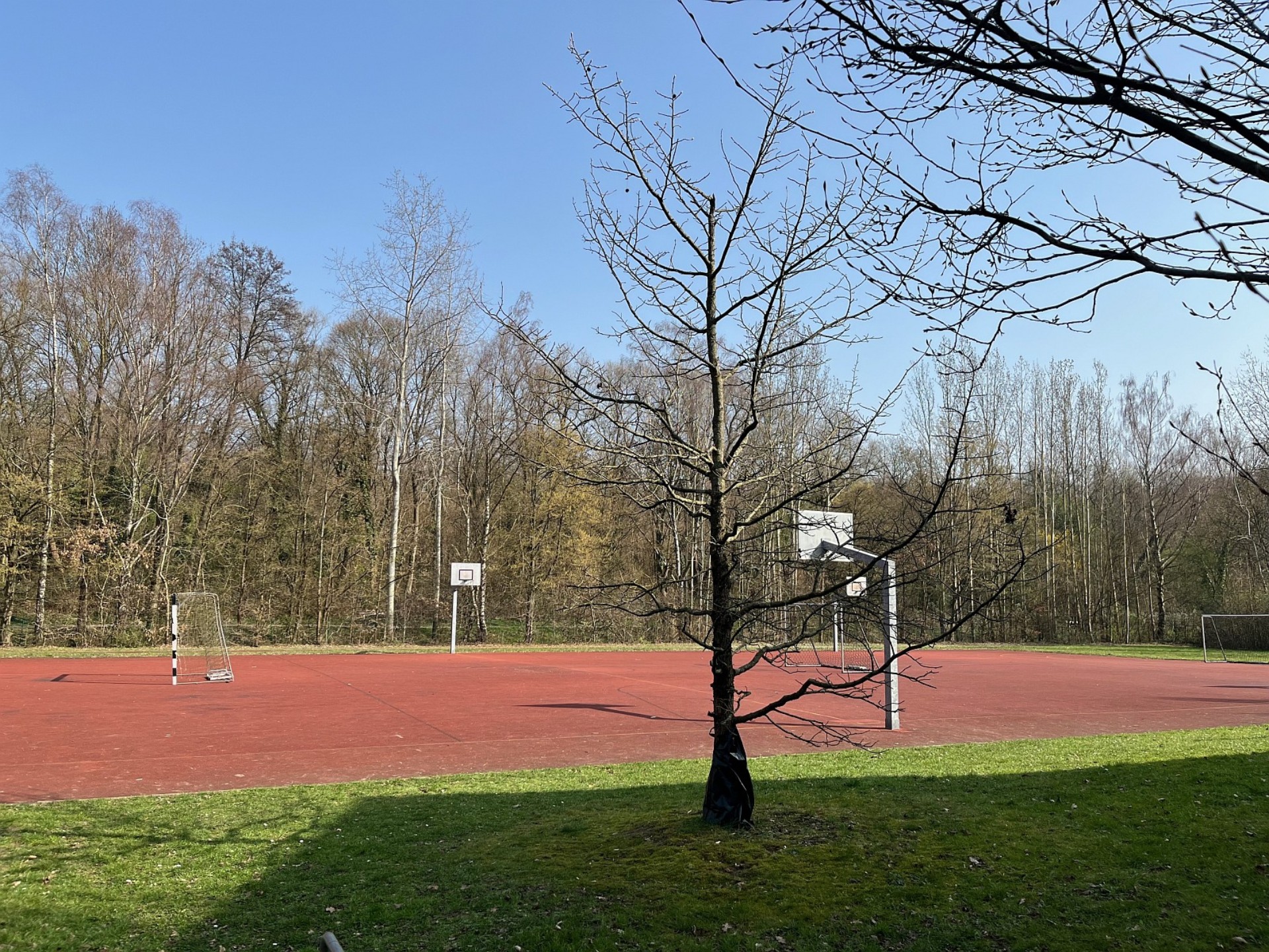 Ein roter Aschenplatz mit Fußballtoren und Basketballkörben, umgeben von Wiese. Im Hintergrund noch kahle Bäume.